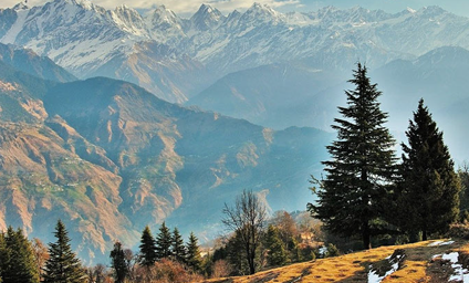 Ranikhet, Almora Kausani Tour Package